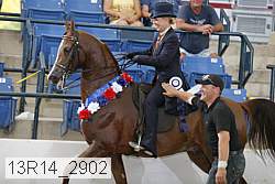 13r14_2902 proof