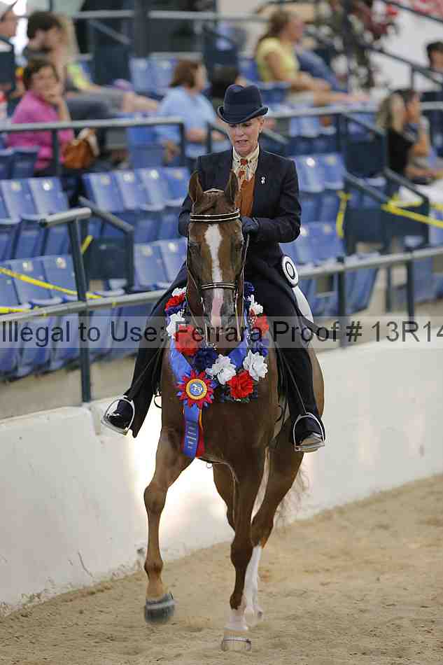 Proof 13r14_2903