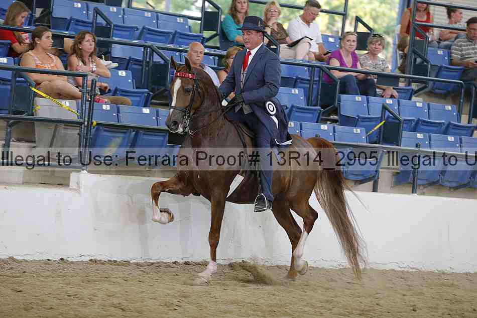 Proof 13r14_2905