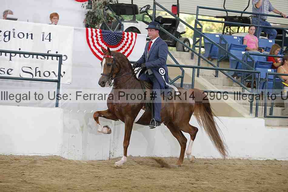 Proof 13r14_2906