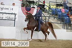 13r14_2906 proof