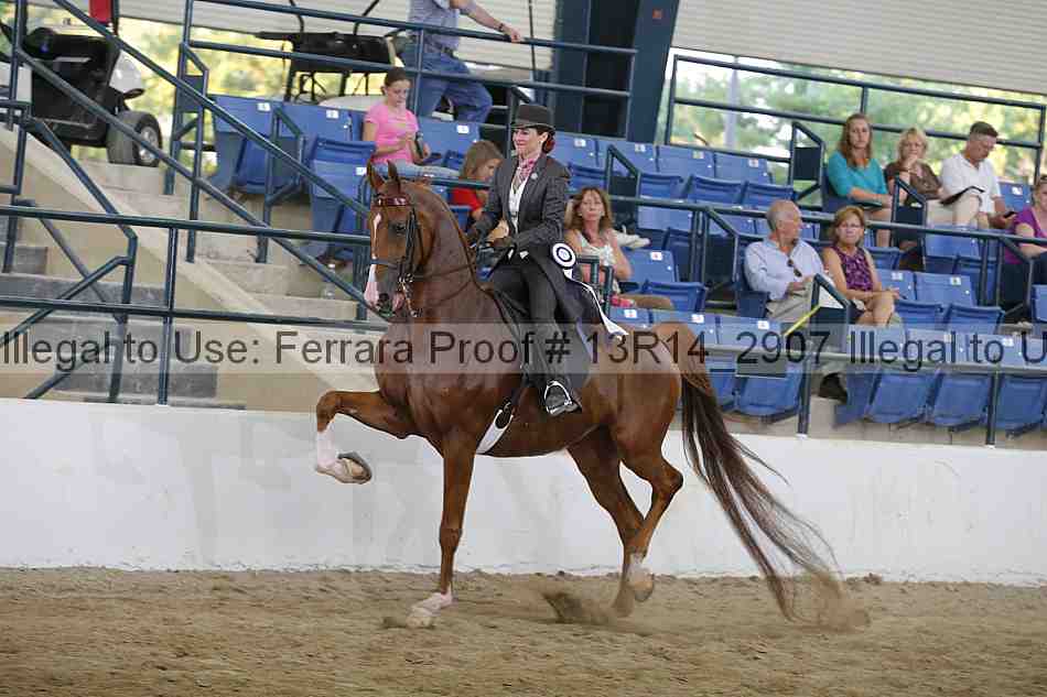Proof 13r14_2907