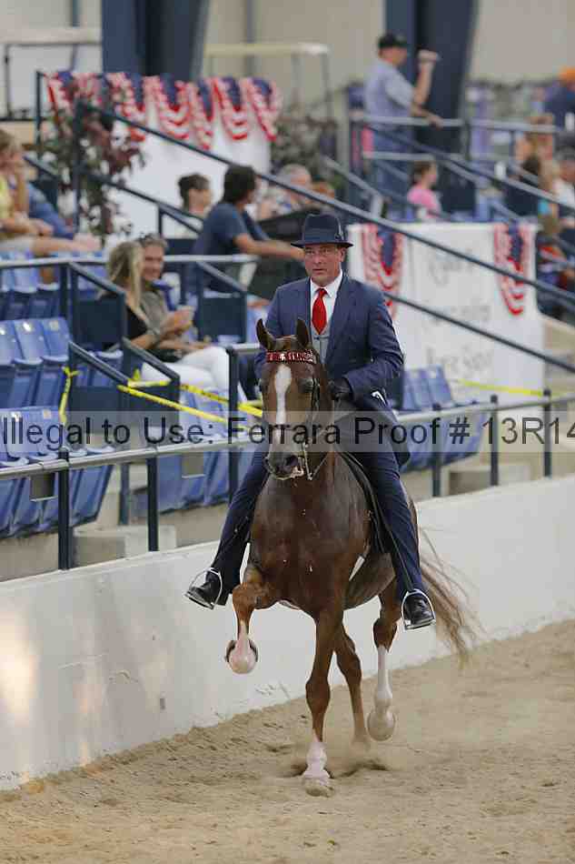 Proof 13r14_2908
