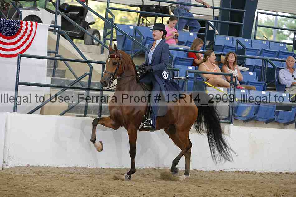 Proof 13r14_2909