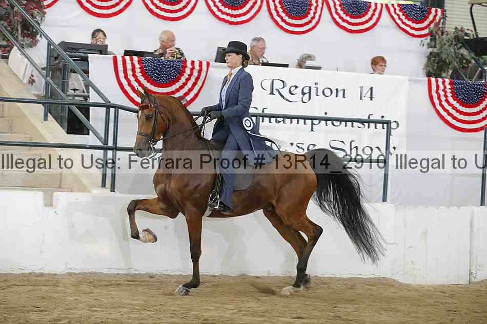 Proof 13r14_2910