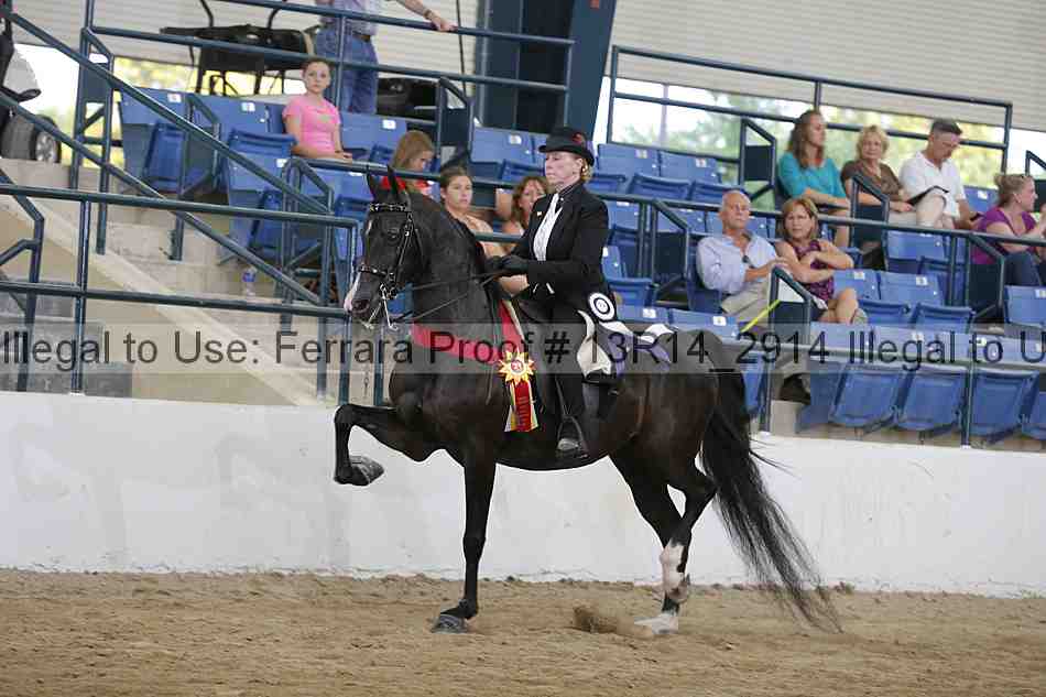 Proof 13r14_2914