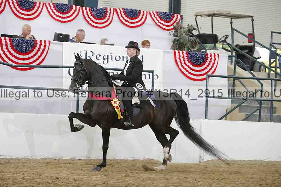 Proof 13r14_2915