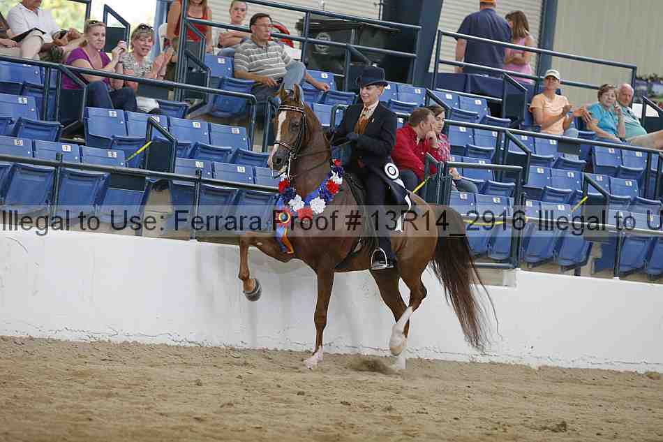 Proof 13r14_2916