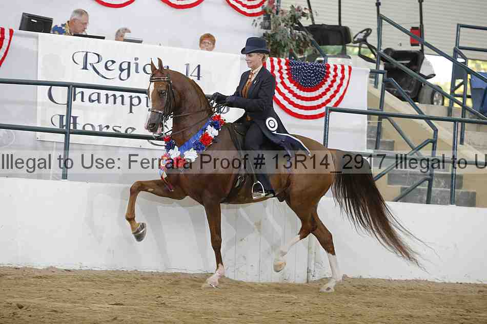 Proof 13r14_2917