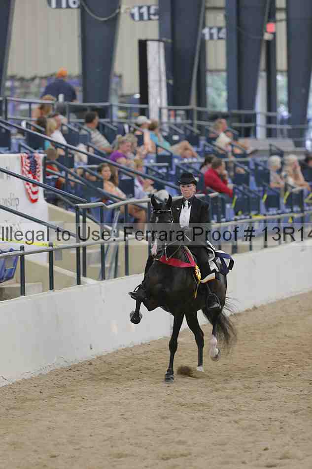 Proof 13r14_2918