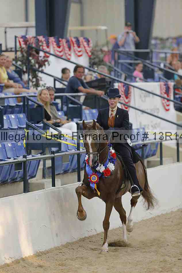 Proof 13r14_2919