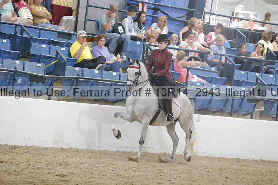 Proof 13r14_2943
