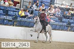 13r14_2943 proof