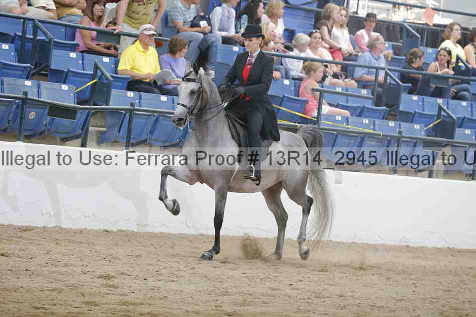 Proof 13r14_2945