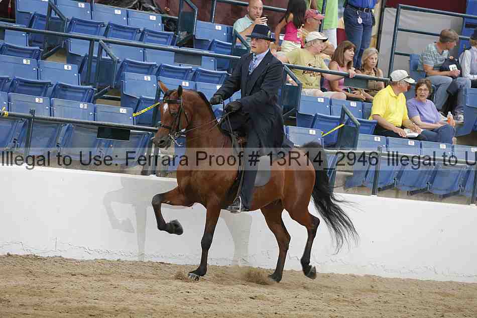 Proof 13r14_2946