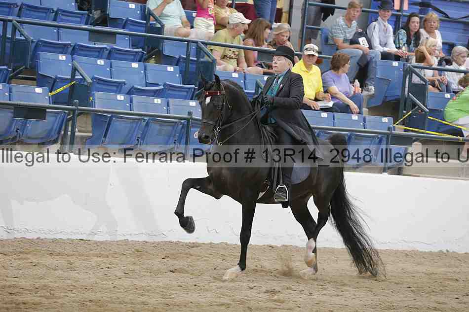 Proof 13r14_2948