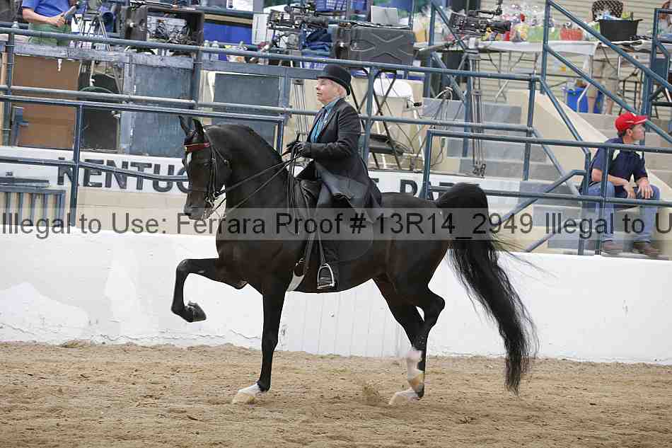Proof 13r14_2949