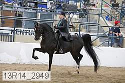 13r14_2949 proof