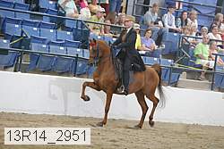 13r14_2951 proof