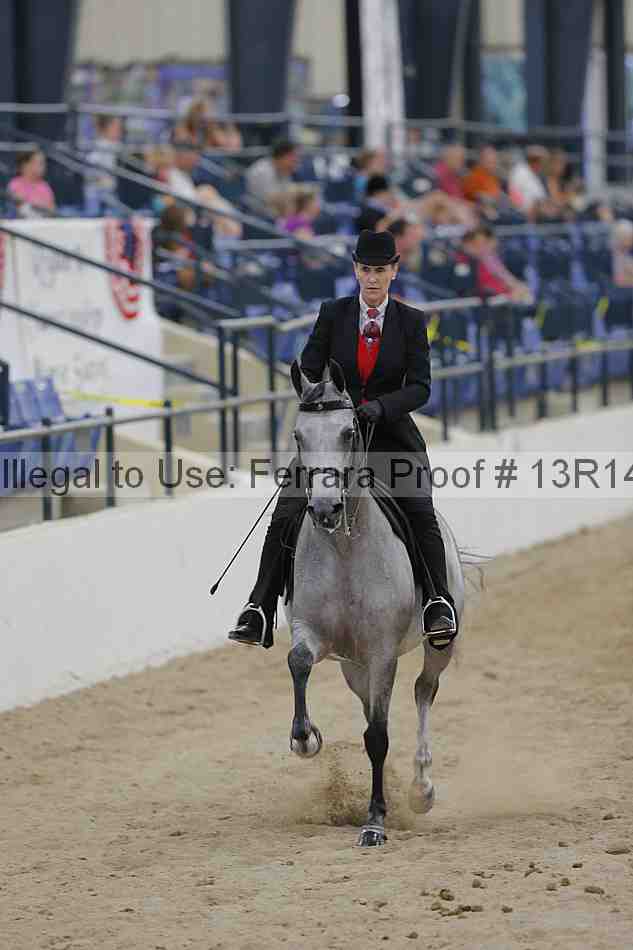 Proof 13r14_2953