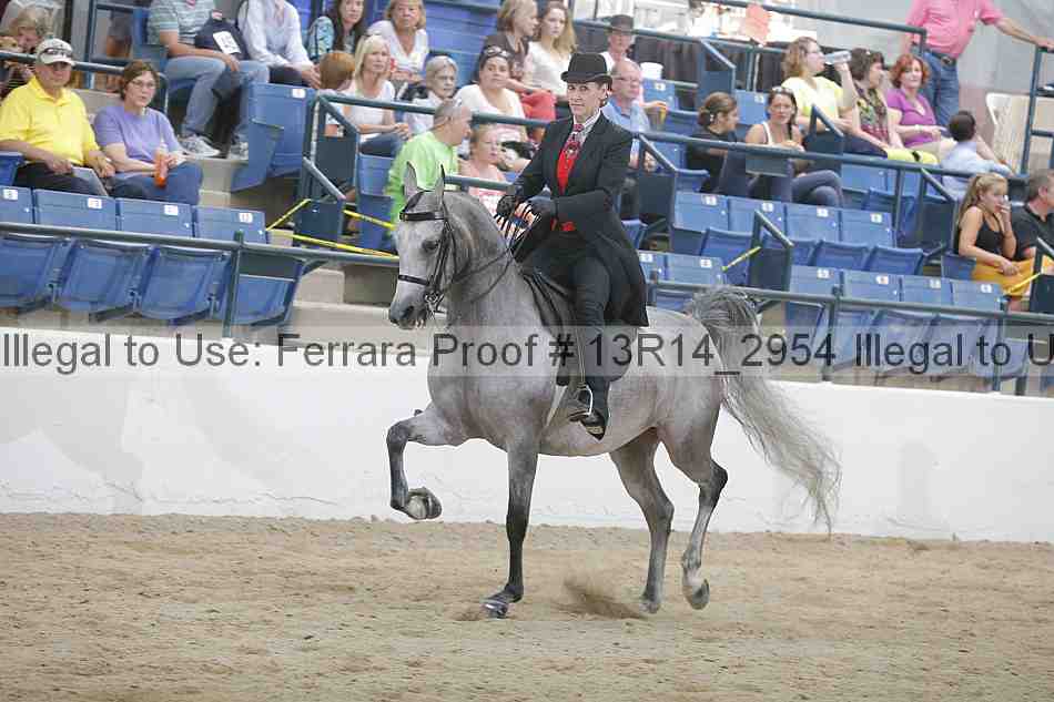 Proof 13r14_2954