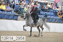 13r14_2954 proof