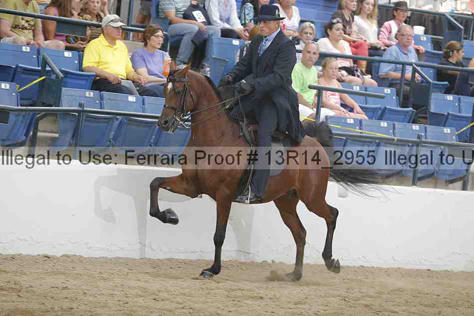 Proof 13r14_2955