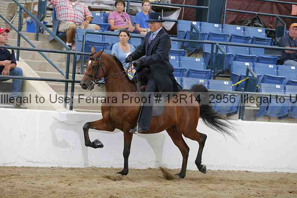 Proof 13r14_2956