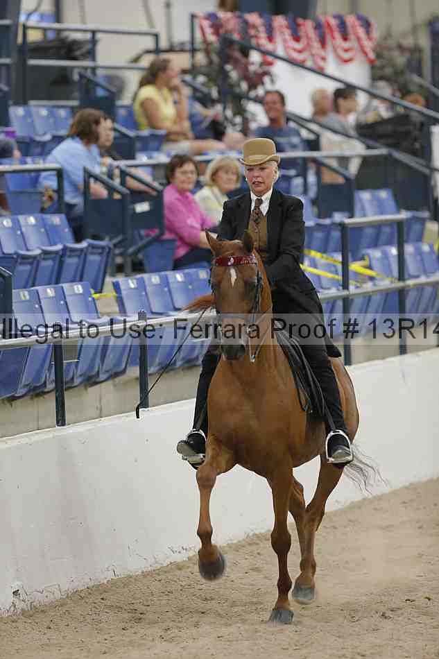 Proof 13r14_2959