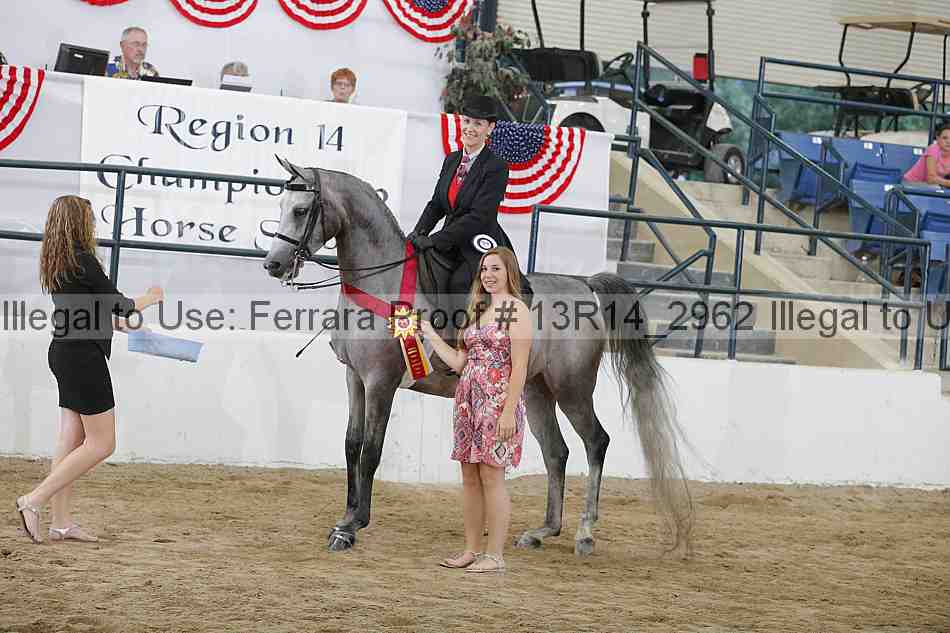Proof 13r14_2962