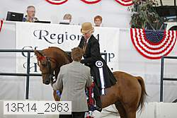13r14_2963 proof