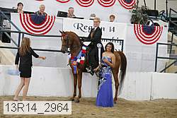 13r14_2964 proof