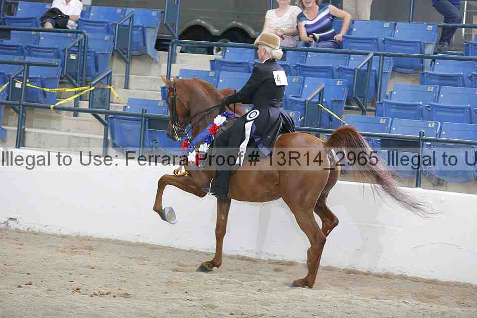 Proof 13r14_2965