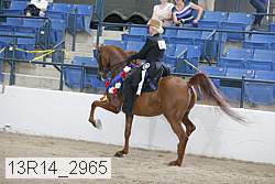 13r14_2965 proof