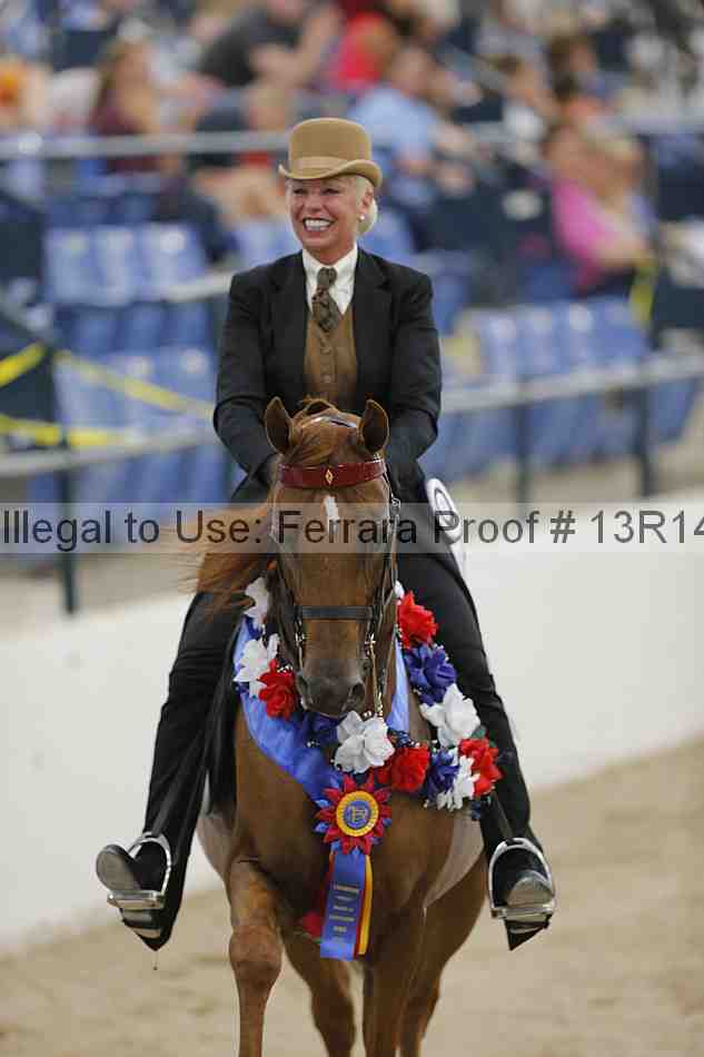Proof 13r14_2969