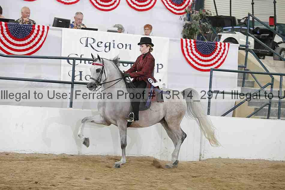 Proof 13r14_2971