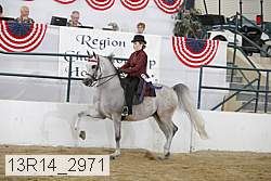13r14_2971 proof