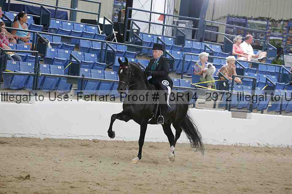 Proof 13r14_2972