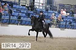 13r14_2972 proof