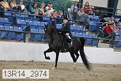 13r14_2974 proof
