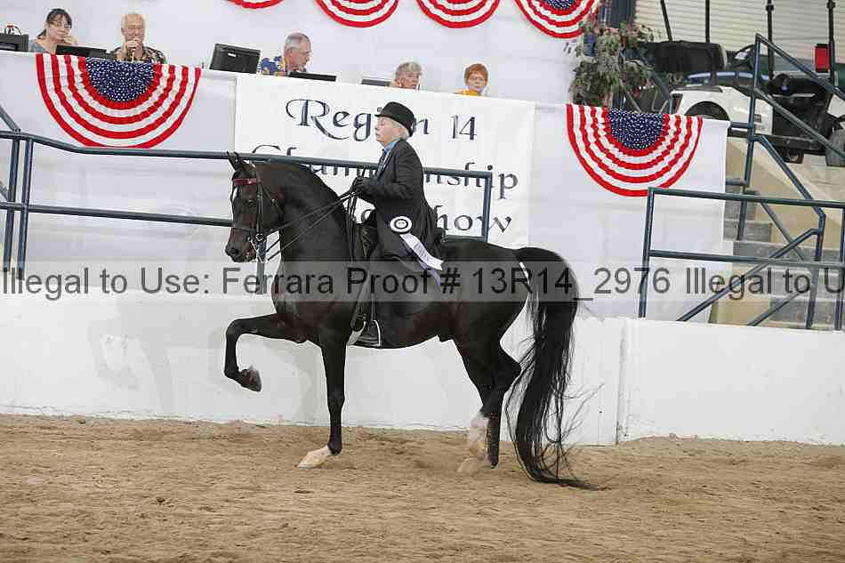 Proof 13r14_2976