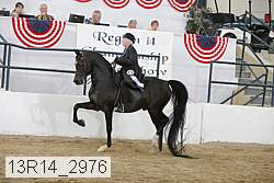 13r14_2976 proof