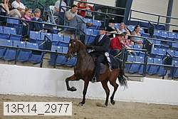 13r14_2977 proof