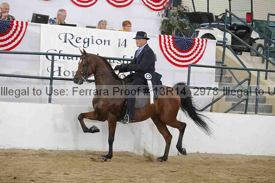 Proof 13r14_2978