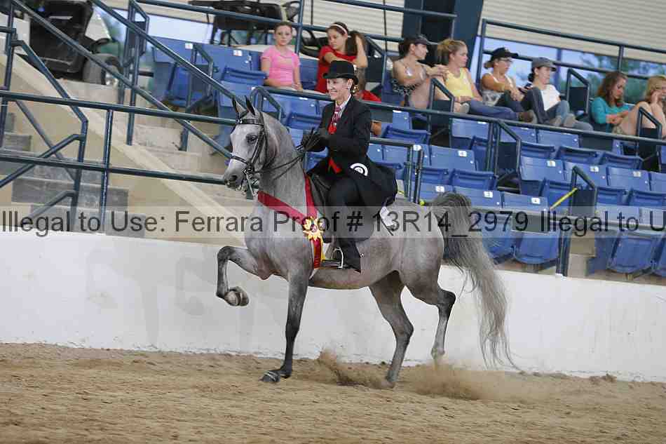 Proof 13r14_2979