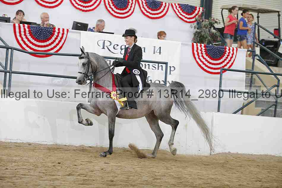 Proof 13r14_2980