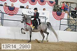 13r14_2980 proof