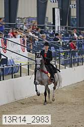 13r14_2983 proof