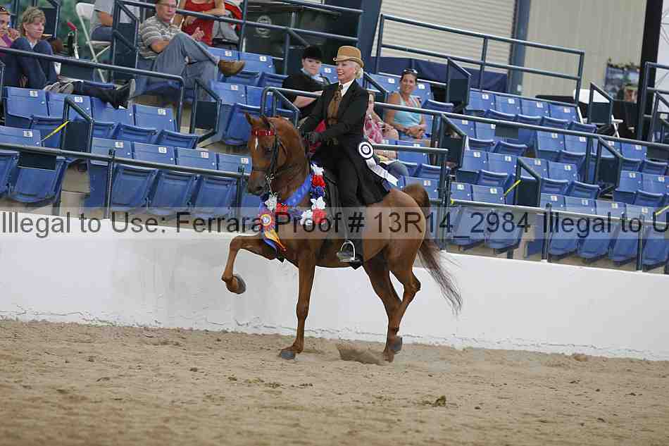 Proof 13r14_2984
