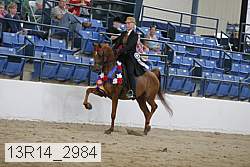 13r14_2984 proof